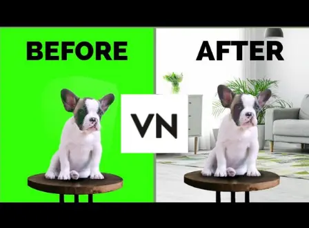Before, After of Green Screen Effect by VN MOD APK