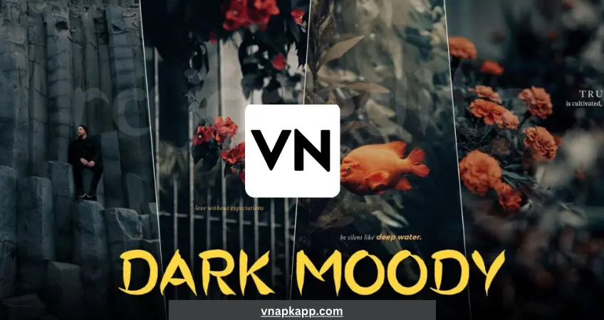 Dark Moody Vn Lut Filters - 40+ VN Filter poster